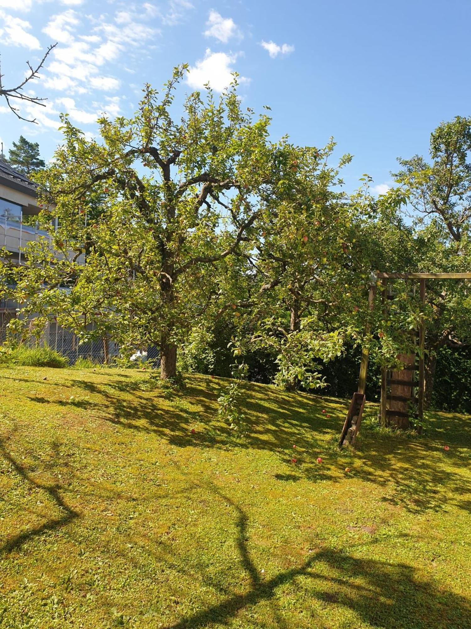 Haus Thea Bei Stuttgart Apartment Leonberg Exterior photo