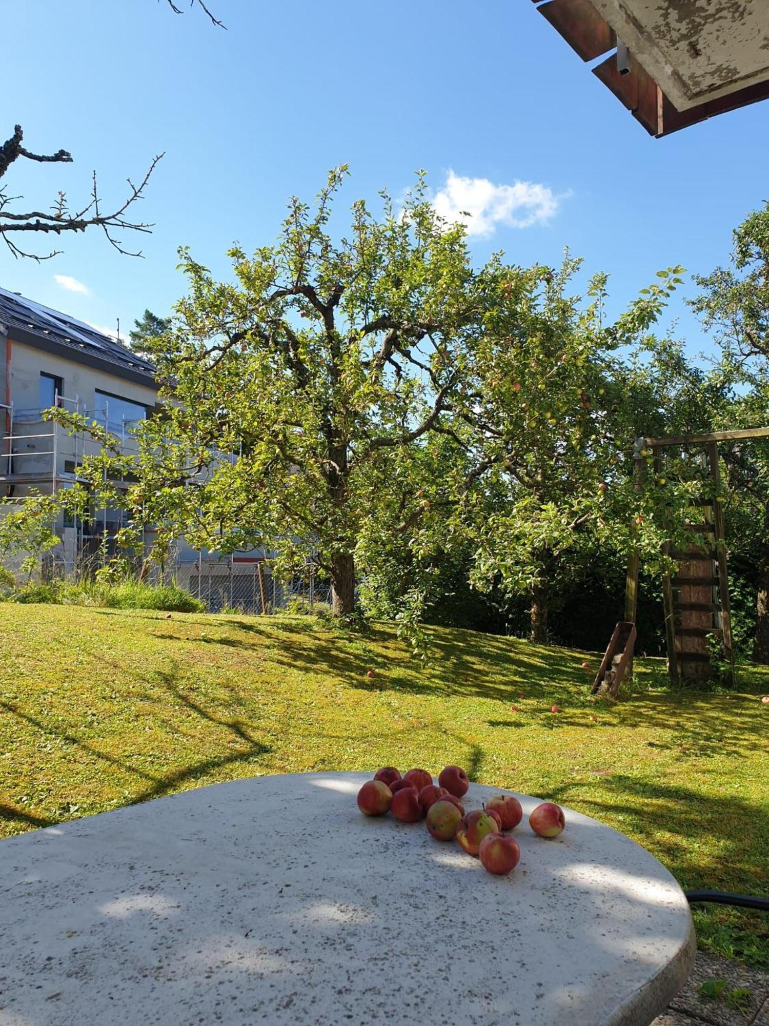 Haus Thea Bei Stuttgart Apartment Leonberg Exterior photo